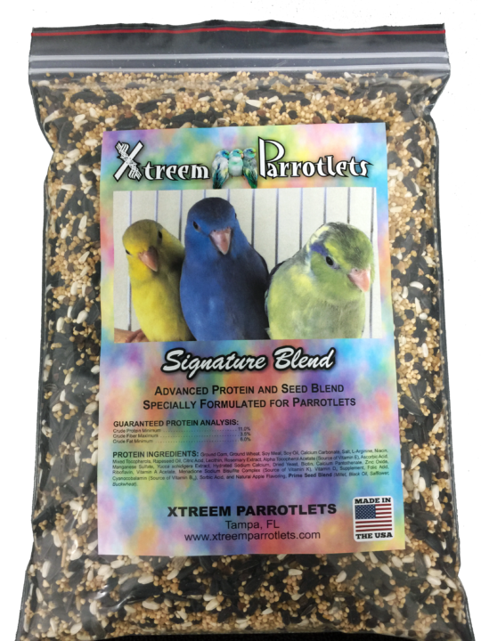 Parrotlet treats on sale